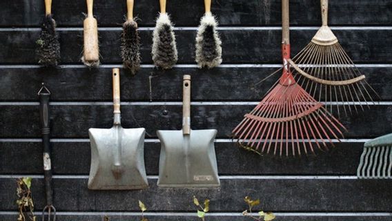 Peralatan Berkebun yang Wajib Ada di Rumah, Bapak-bapak Wajib Tahu