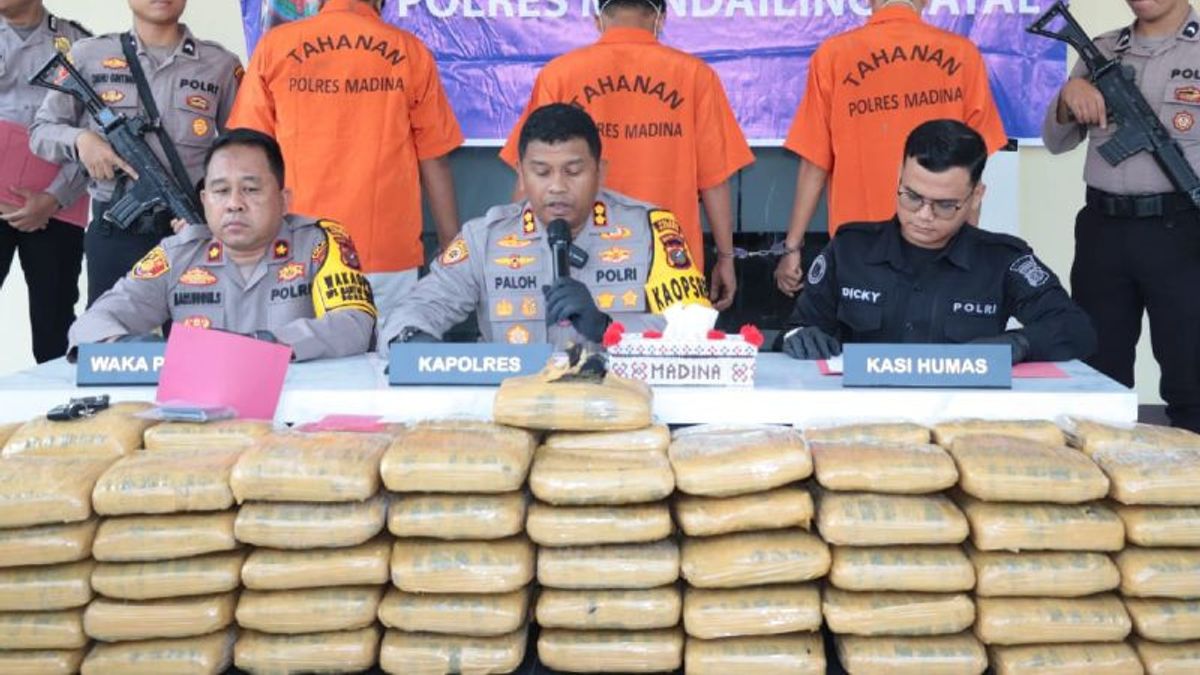 سومطرة الغربية - نجحت الشرطة في إحباط شحن 110 كجم من الماريجوانا من شمال سومطرة إلى غرب سومطرة
