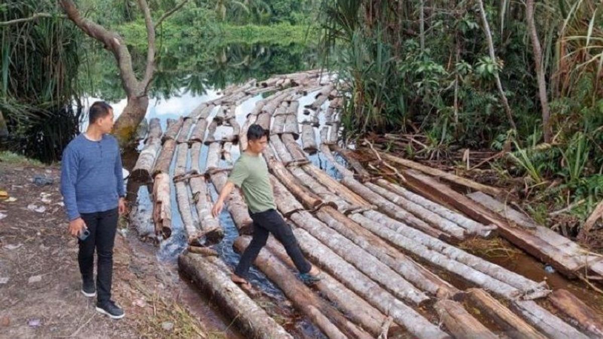 廖内梅兰蒂群岛警方逮捕2名非法伐木者，一名鲁莽的肇事者从摩托艇上逃脱