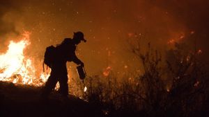 California Catat Kebakaran Hutan Terbesar Kedua Sepanjang Sejarah, 14 Ribu Bangunan Terancam 