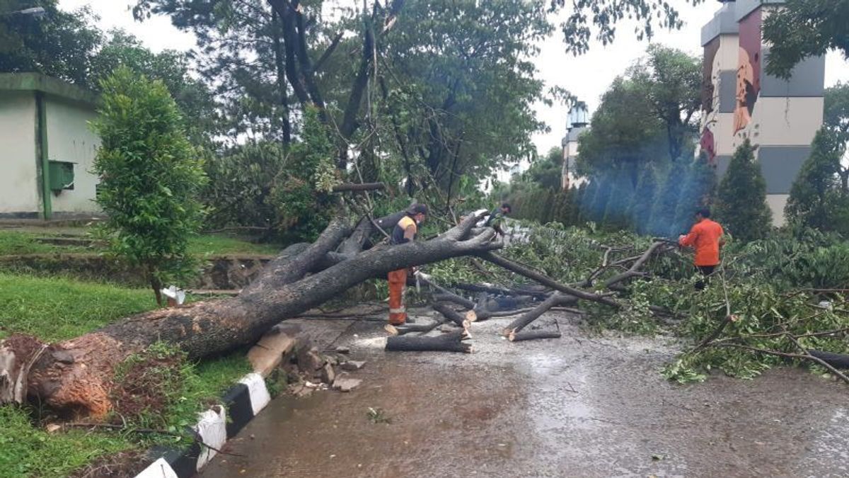 BPBD: Hujan Deras Sebabkan 25 Titik Bencana di Kota Bogor