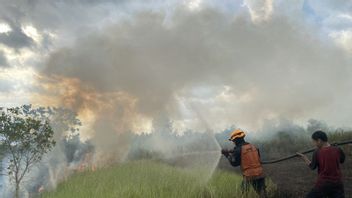 Officers Successfully Put Out Forest And Land Fires Near South Kalimantan Airport