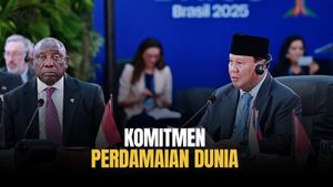 Indonesia Tegaskan Komitmen Perdamaian Dunia di Forum BRICS