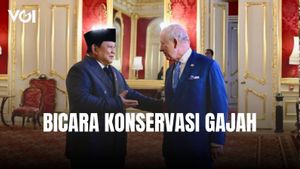 Di Tengah Rintik Hujan, Presiden Prabowo Bertemu Raja Charles, Perkuat Diplomasi Lingkungan