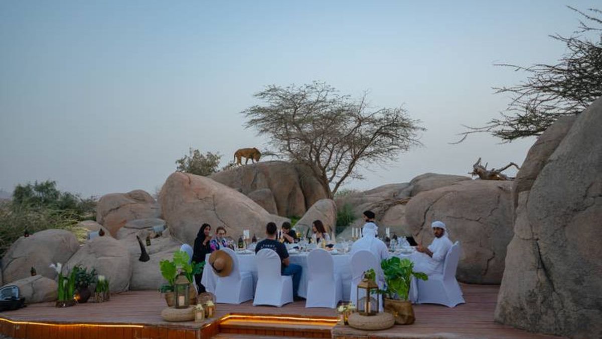 Tidak Biasa, Sahur di Pantai ala Badui Arab hingga Buka Puasa dengan Singa di Abu Dhabi Ini Sayang Dilewatkan