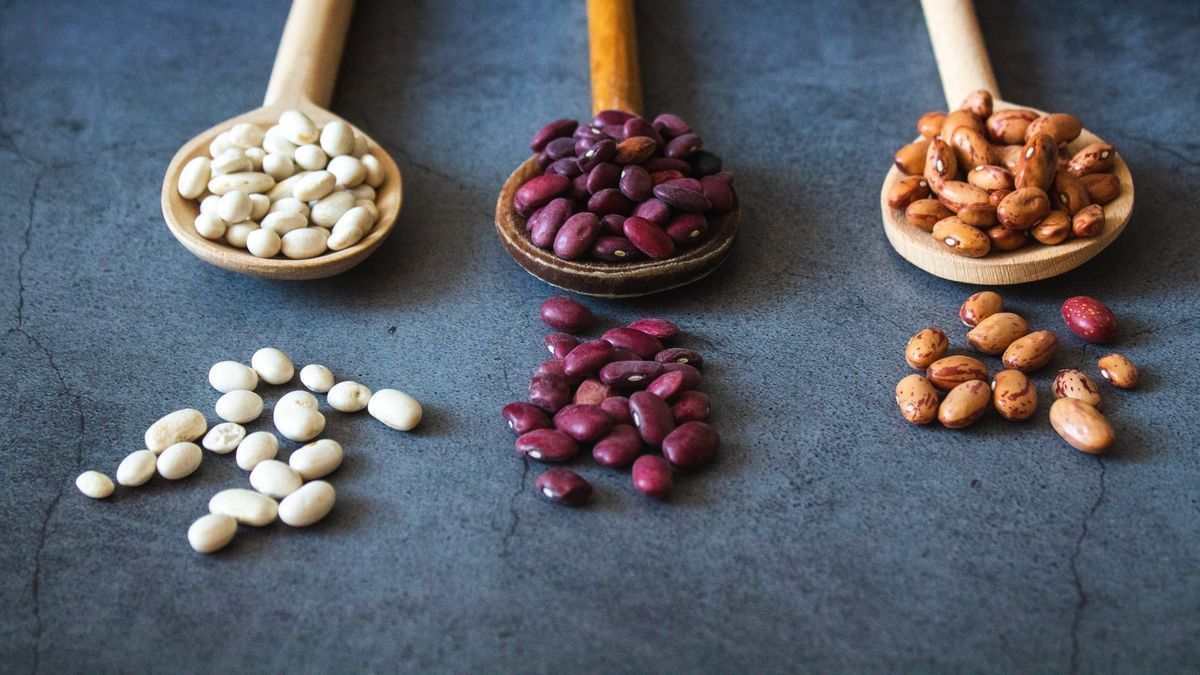Sumber Protein Nabati yang Mudah Didapatkan, Ini Jenis-jenisnya