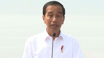 Having An Influence And Close To The Oligarchy, Jokowi's New Political Party Discourse Can Be Realized