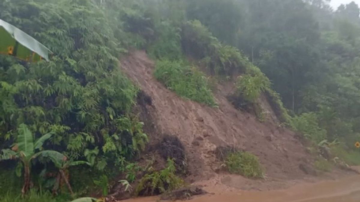 BPBD Padang Tangani Material Longsor di Teluk Bayur dan Teluk Kabung Tengah