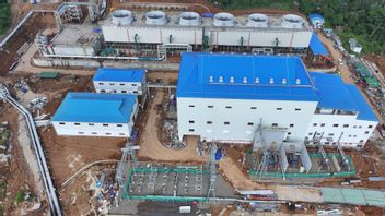 Donating 876.5 MW Green Electricity, Here Are A Series Of COD EBT Plants In Semester I-2025