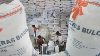 ジョコウィはインドネシアに米を輸出してほしい、とBulog:実際にはチャンスがあるが...