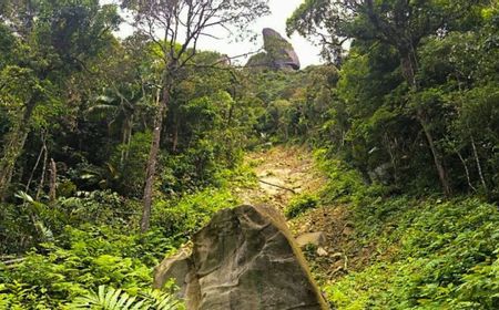 BPBD Natuna: Gunung Ranai Berpotensi Longsor