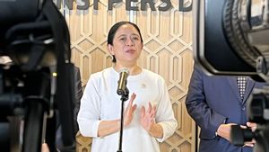 Ketua DPR Minta Pemerintah Gerak Cepat Penuhi Kebutuhan Korban Banjir Bali