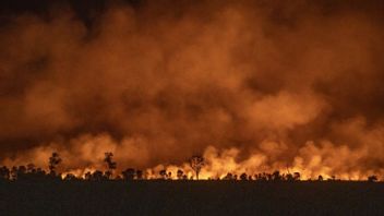 47 Hectares of Land Burned, South Sumatra Declares Forest and Land Fire Emergency Until November 30