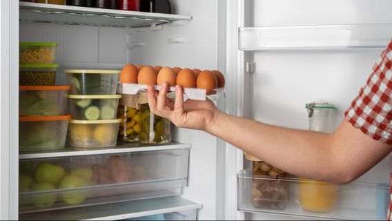 Tips Menata Makanan di Kulkas Agar Tahan Lama dan Rapi