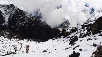 エベレストを襲った雪の嵐,580人の登山者が中国政府によって救助されました