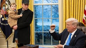 Elon Musk Resigns From Trump's Government