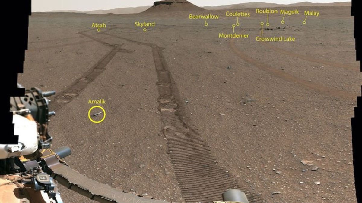 مشاهدات لمستودعات العينات على المريخ التي هي صور المثابرة والتي سيتم إرسالها إلى الأرض