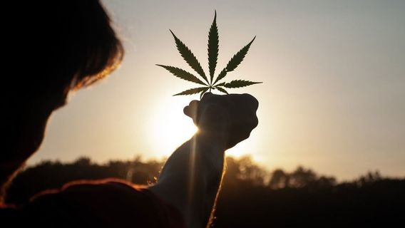 Rejection Of Legalization Of Medical Marijuana In Indonesia: If You Are Worried About Abuse, Glue Is Often Used To Fly