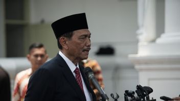 Ditunjuk Presiden Pimpin Komite Kereta Cepat, Pengamat: Luhut Serba Bisa atau Hanya Bumper?