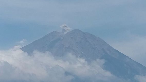 Mount Semeru Erupted 7 Times On Saturday Morning