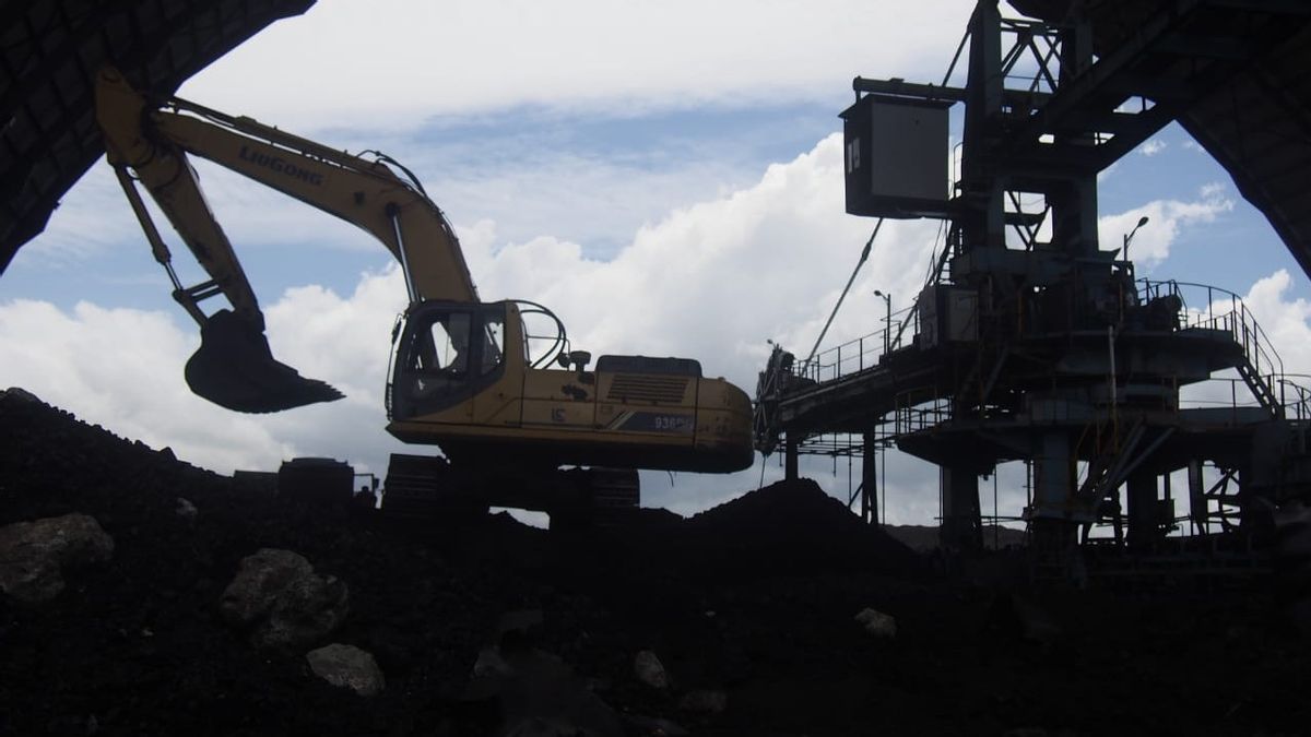 Ogah يفقد إمدادات الفحم، PLN يشتري مباشرة لعمال المناجم