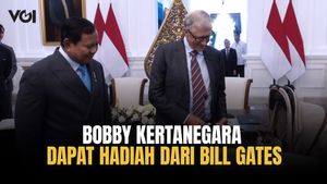比尔·盖茨(Bill Gates)送给了鲍比·克尔塔内加拉(Bobby Kertanegara),普拉博沃总统的可爱猫