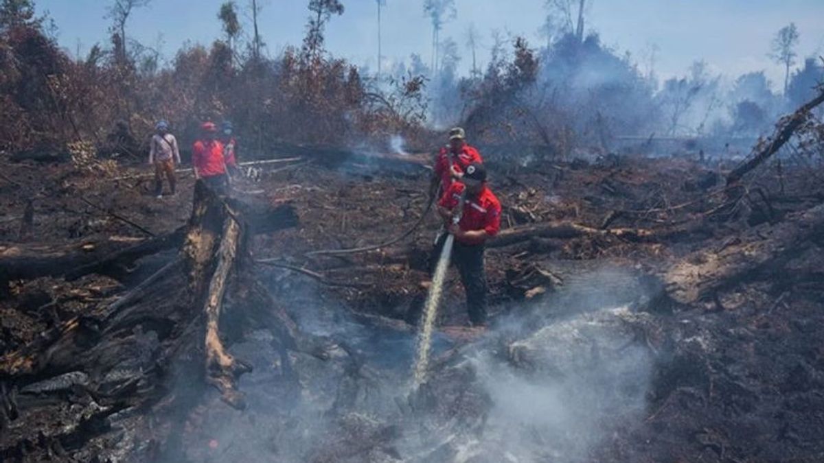 12 Wilayah di Riau Tetapkan Darurat Karhutla, Berharap Dampak Bisa Diminimalkan