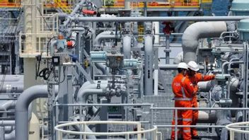 إدارة الغاز تختلف عن النفط ، المدير العام للنفط والغاز يذكر السلامة والصحة المهنية