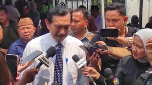 RI Joins BRICS, Luhut Says He Can Expand Market Access