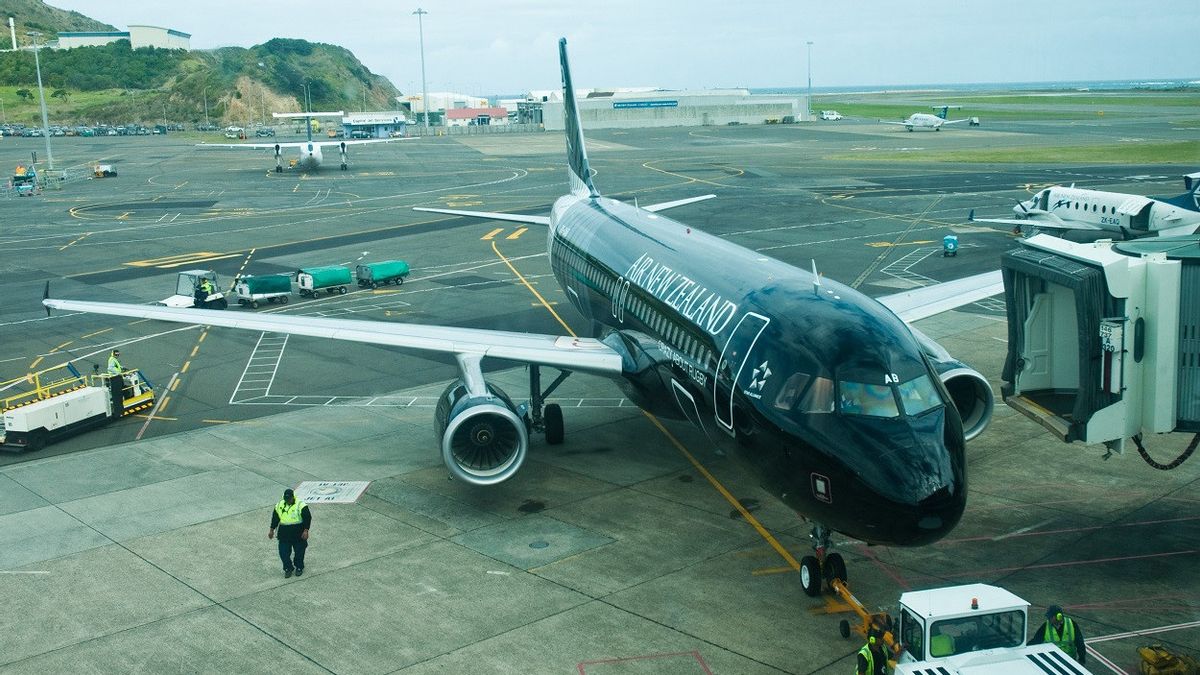 新西兰开始逐步开放边境，来自世界各地的旅客可以从10月开始入境