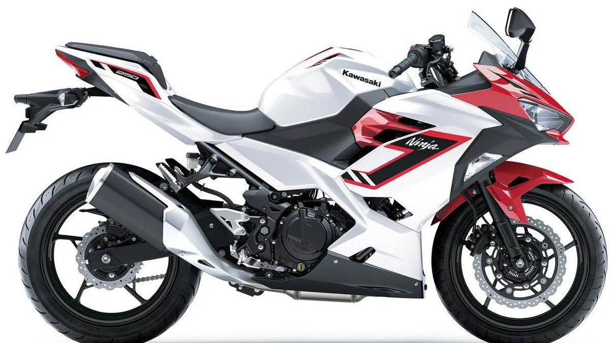 Kawasaki Ninja 250 Dapat Penyegaran, Mulai Dijual November