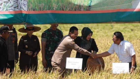 Kementan Jamin Produksi Beras di Banten Aman pada Awal 2023