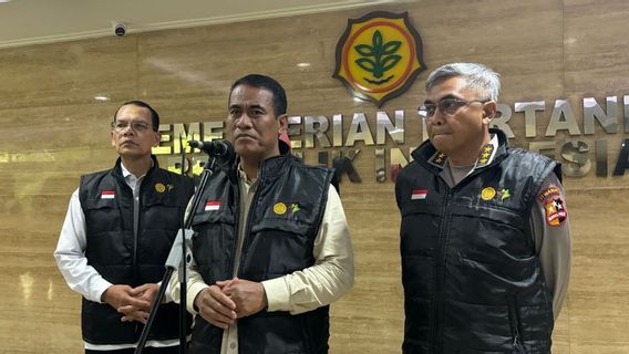 Mentan Amran Ungkap Brigade Swasembada Pangan Diguyur Anggaran Rp30 Triliun dari Prabowo