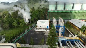 IESR: Perlu Aturan Jelas terkait Energi Terbarukan Industri