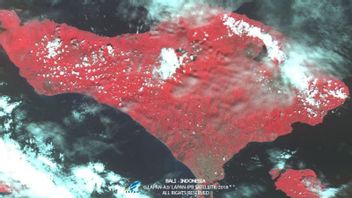 Satelit Lapan-A3 Hasilkan Data Citra 538 Juta Kilometer Persegi