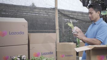 Harbolnas 2022的支持,Lazada鼓励本地卖家Go Digital