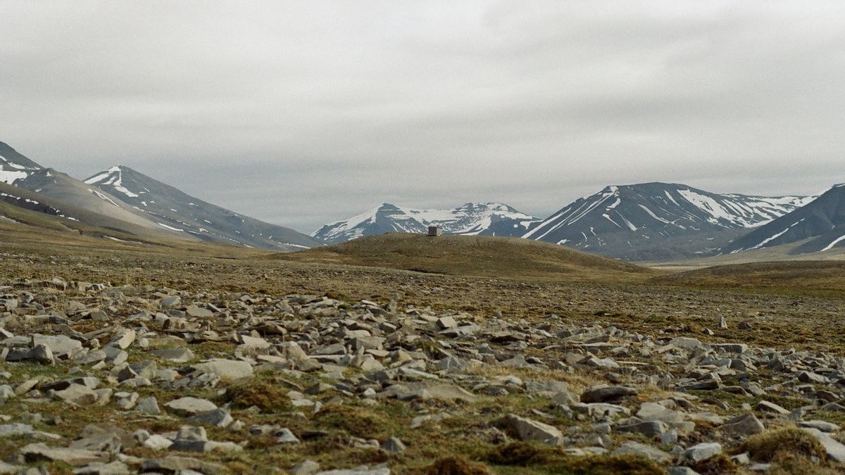 Ilmuwan Cambridge Temukan DNA Berusia Dua Juta Tahun di Greenland