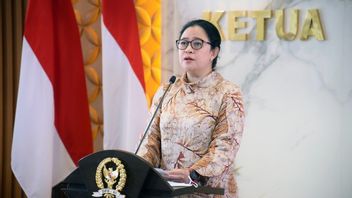 Sempat Viral Wajahnya Cemberut Saat Bagi-bagi Kaos, Puan Maharani Minta Maaf