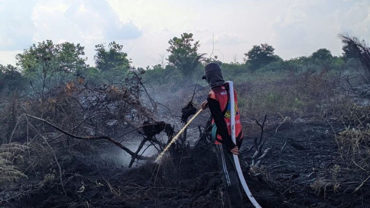 Polisi Ringkus Petani Bakar Lahan di Tapin Kalsel