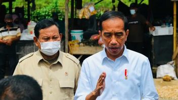 Presiden Jokowi Meminta Kasus ekspor Minyak Goreng Diusut Tuntas