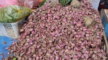 Tak Hanya Bawang Merah yang Tembus Rp80 Ribu/Kg, Cabai Rawit Hingga Tomat di Jayapura Mengalami Kenaikan