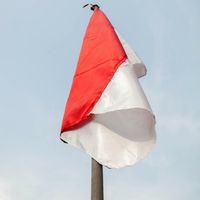 Viral Ibu-ibu Gunting Bendera Merah Putih, 3 Orang Jadi Tersangka
