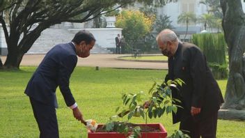 Jokowi And Jose Ramos-Horta Plant Agarwood Trees At Bogor Palace