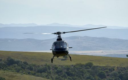 Disorientasi Spasial, Makhluk Biologis dan Kecelakaan Penerbangan