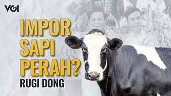 VIDEO: Le programme de lait gratuit de Prabowo-Gibran tuerait les paysages en raison de la hausse des importations