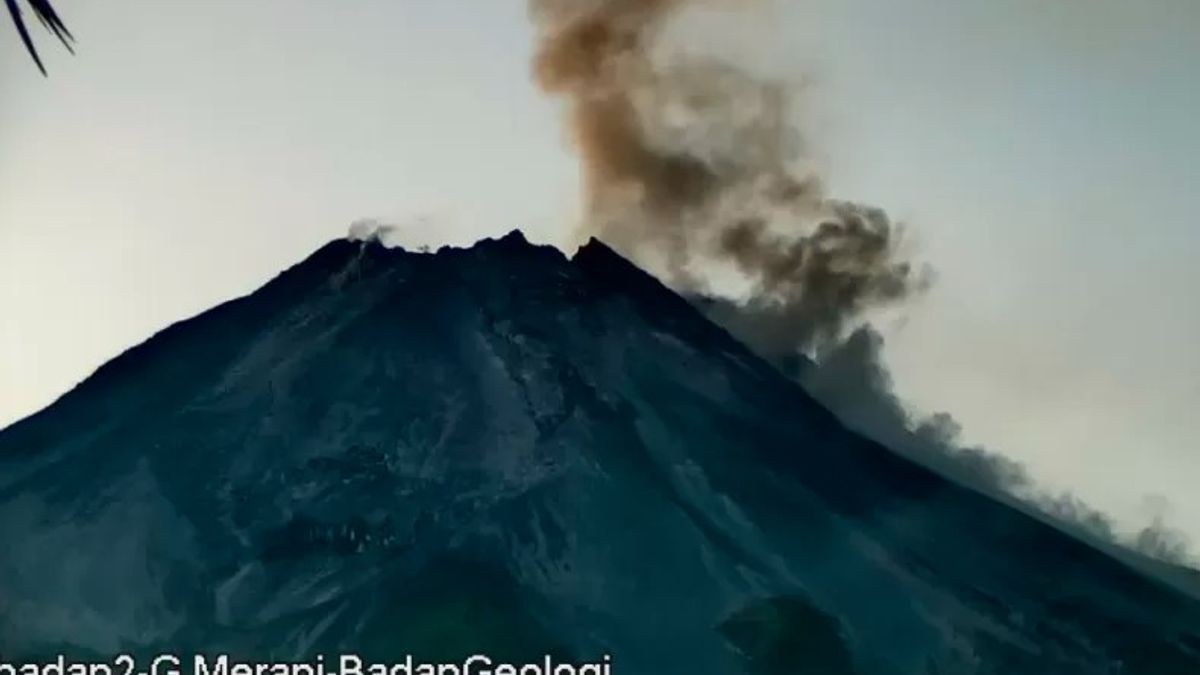 Info Gunung Merapi: Gunung Merapi Luncurkan Enam Kali Awan Panas Guguran