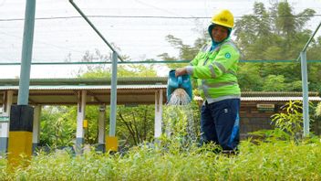 Tidak Hanya Turut Melestarikan Lingkungan, Program Keberlanjutan SIG Serap 20 Ribu Tenaga Kerja