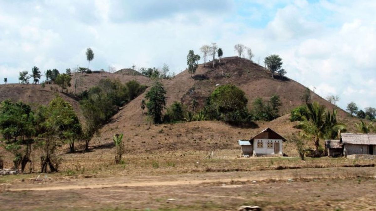 Banjir Bandang di Boalemo Gorontalo, Bupati Akui Alih Fungsi Hutan Jadi Perkebunan Jagung Penyebabnya