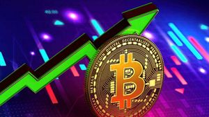 مالكو بيتكوين يرتفع بسرعة ، علامة BTC Bullish؟