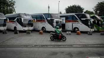 DKI 정부는 귀향을 앞두고 그림자 터미널을 정리하고 공식 터미널을 사용해야합니다. 